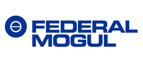 Federal Mogul